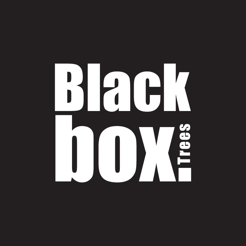 Black Box Glendon Kerstslinger - 180 x 25 cm - Groen