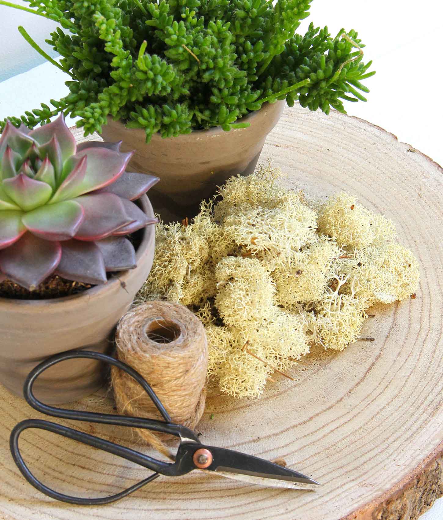 Mica Decorations rendiermos mica naturel 500gr