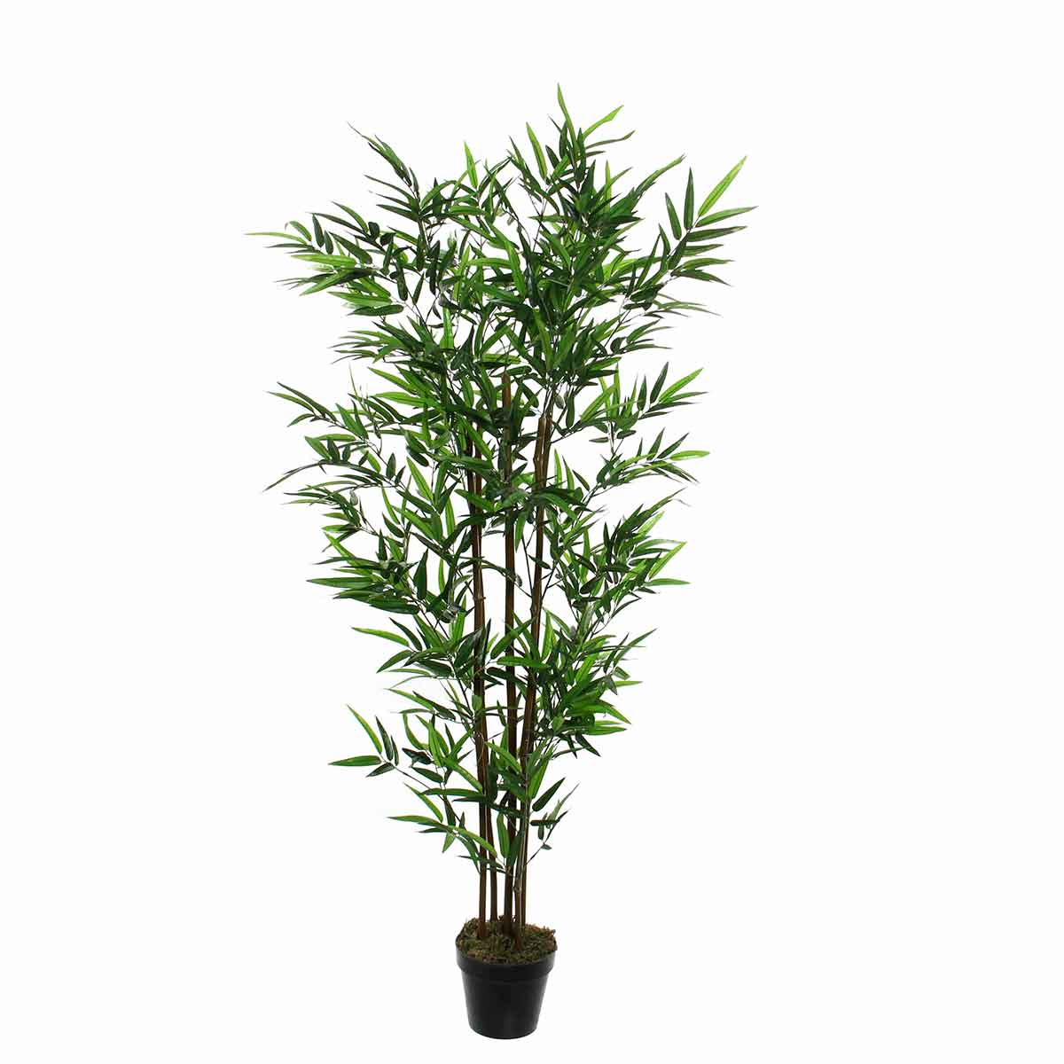 Mica Decorations bamboe in pot maat in cm: 150 x 85