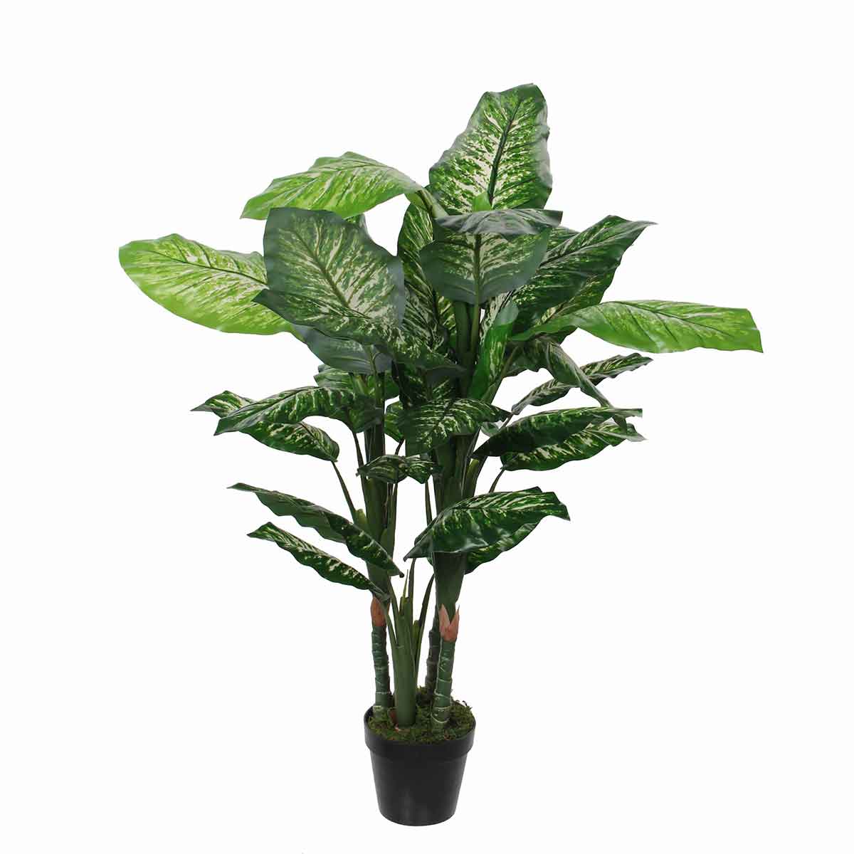 Mica Decorations dieffenbachia in pot maat in cm: 105 x 85