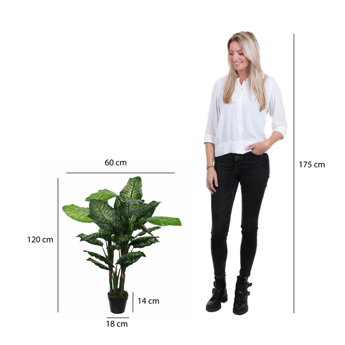 Mica Decorations dieffenbachia in pot maat in cm: 105 x 85