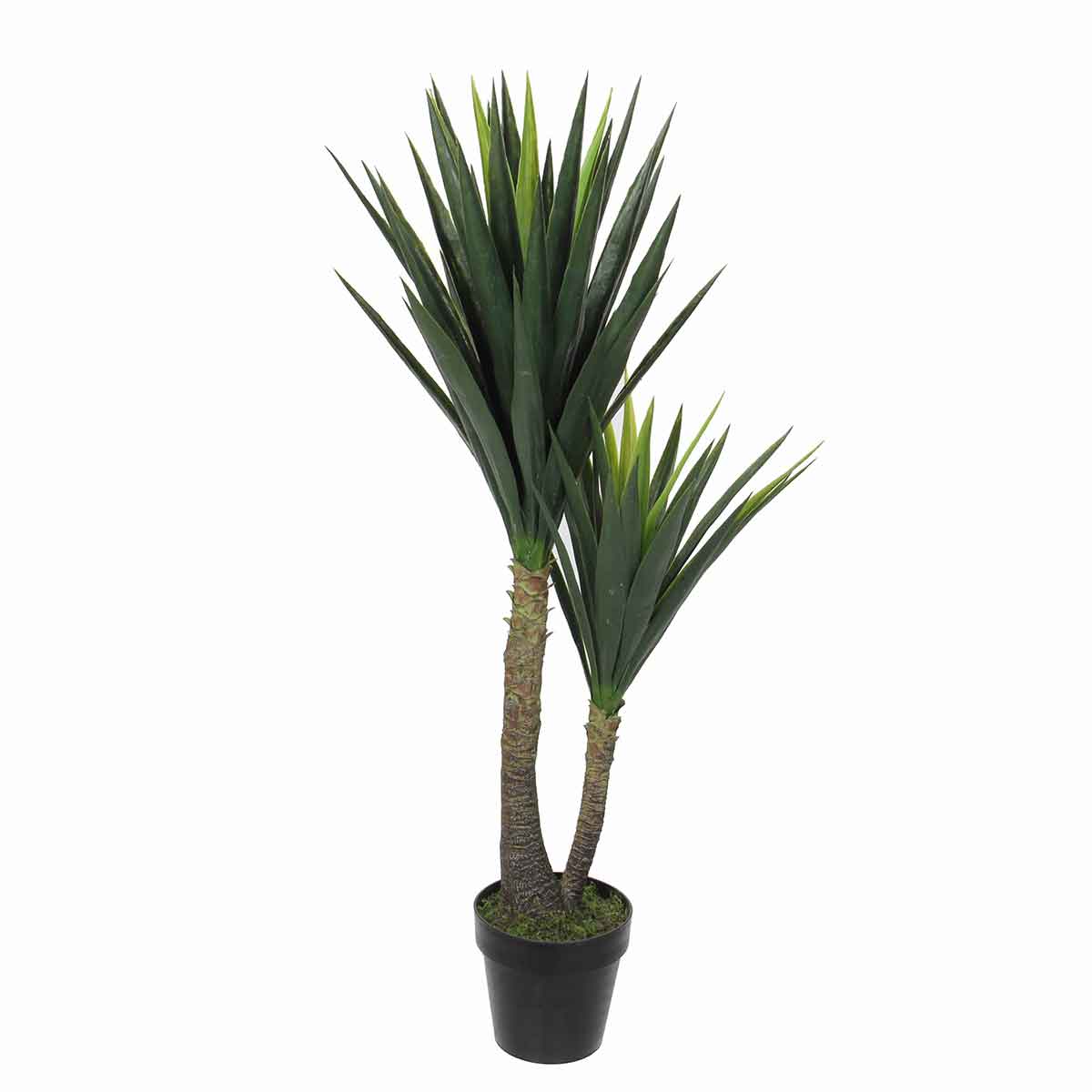 Mica Decorations yucca in pot maat in cm: 120 x 70