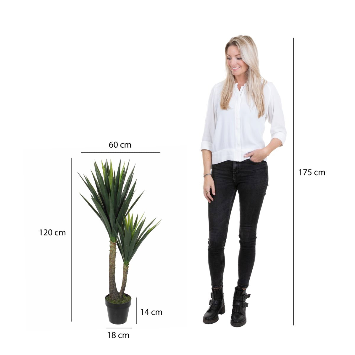 Mica Decorations yucca in pot maat in cm: 120 x 70