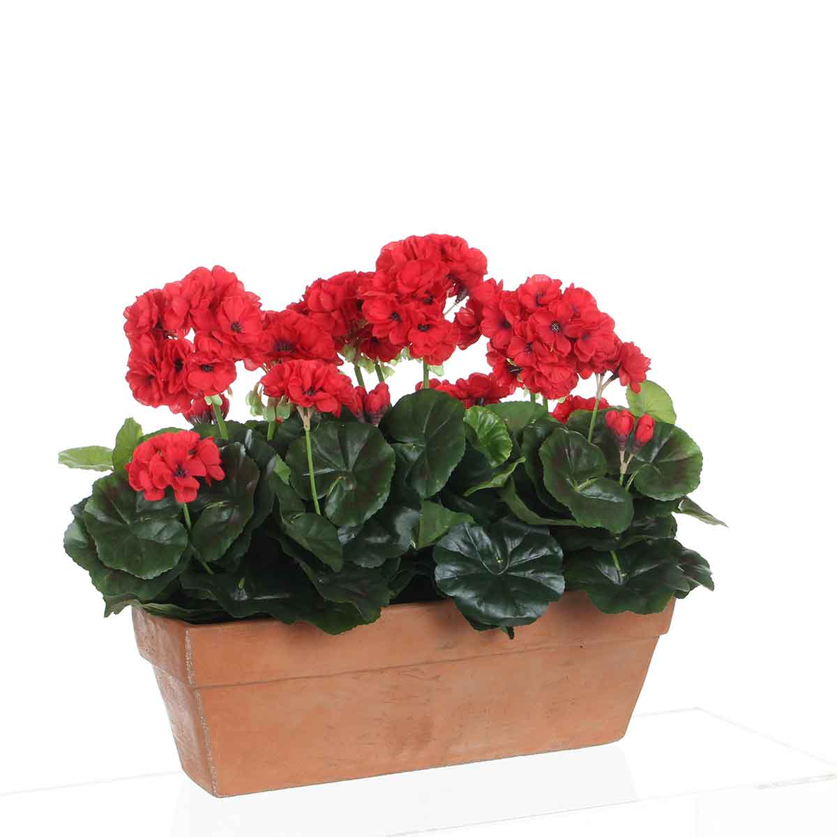 Mica Decorations geranium rood in balkonbak terra maat in cm: 39x13x40
