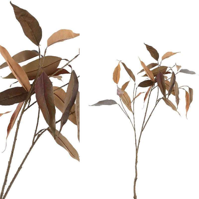 PTMD Leaves Plant Eucalyptus Blad Kunsttak - 46 x 56 x 94 cm - Bruin