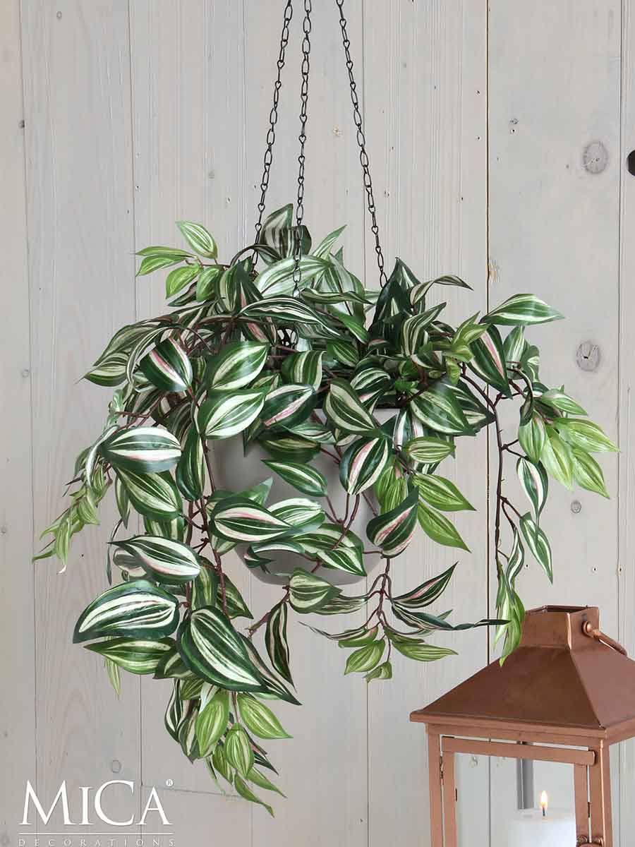 Mica Decorations tradescantia hangend groen maat in cm: 80 x 30 x 15