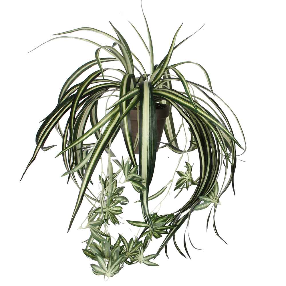 Mica Decorations chlorophytum groen in pot stan grijs d11,5 - 45x45
