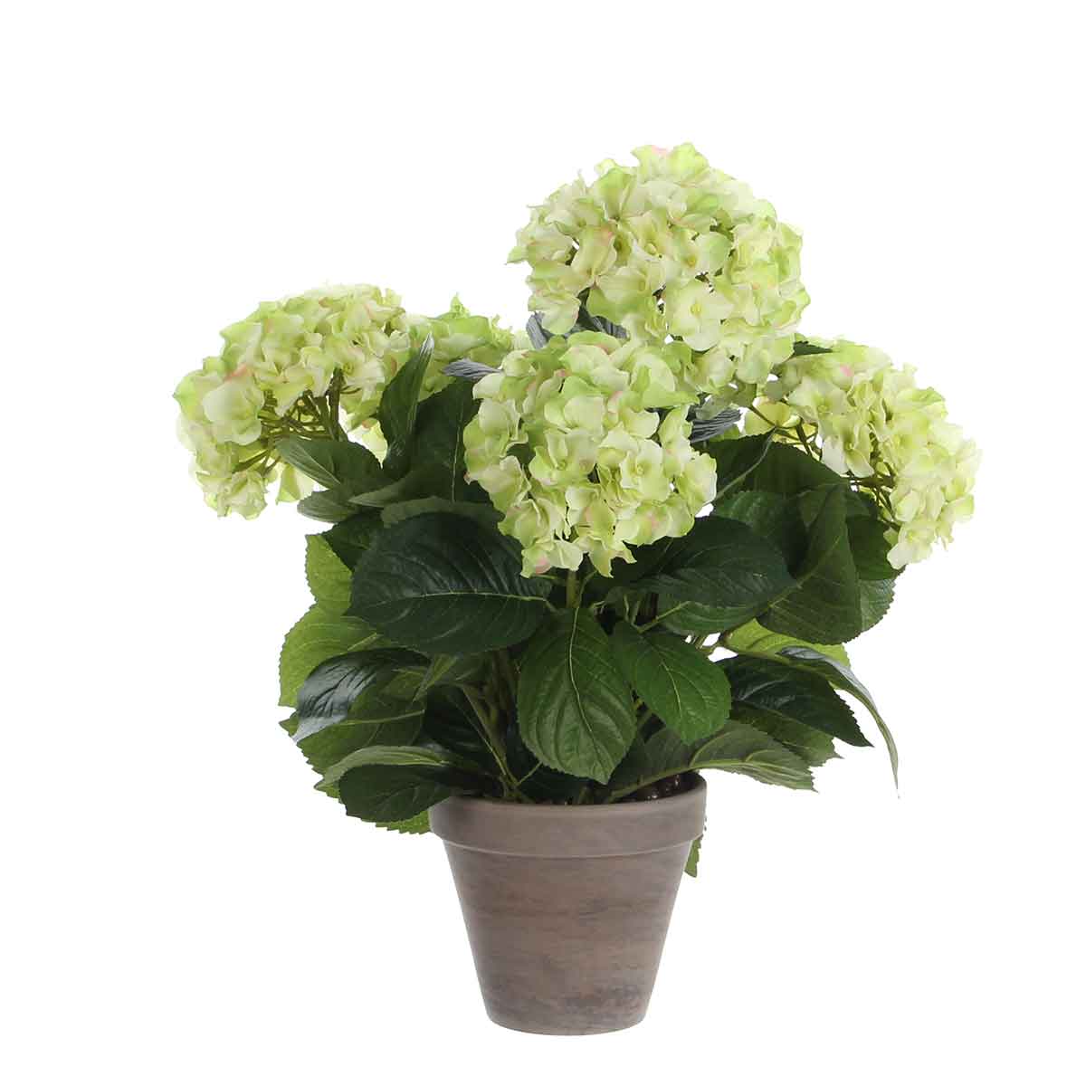Mica Decorations hortensia creme in pot stan grijs d13,5 - 45x45