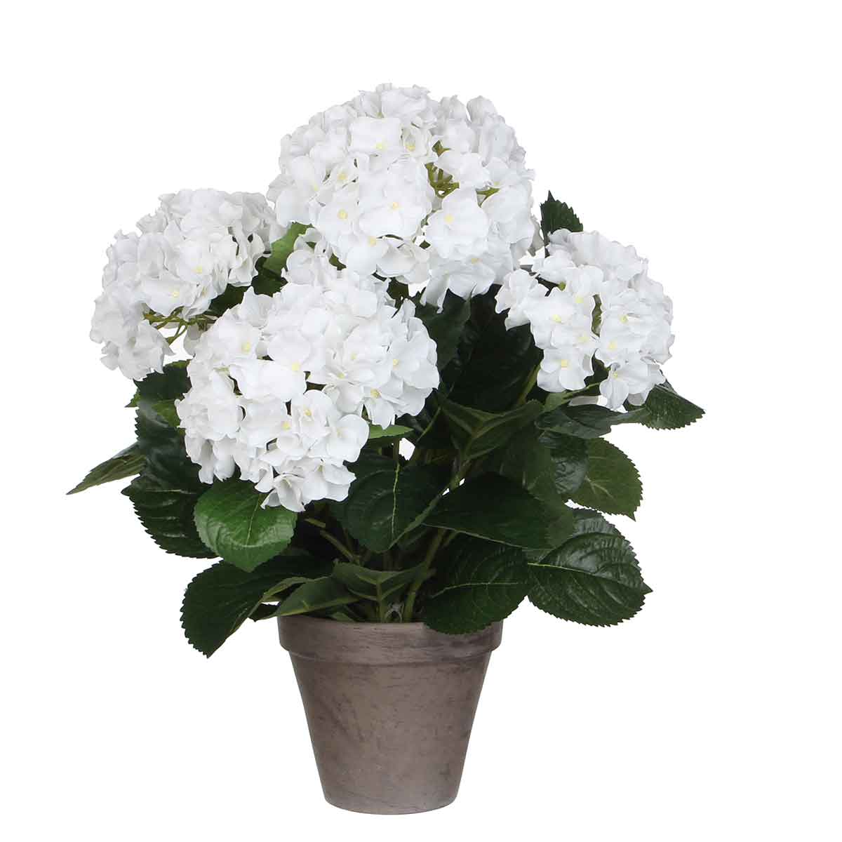 Mica Decorations Hortensia Kunstplant - 45x45 cm - Pot - Wit