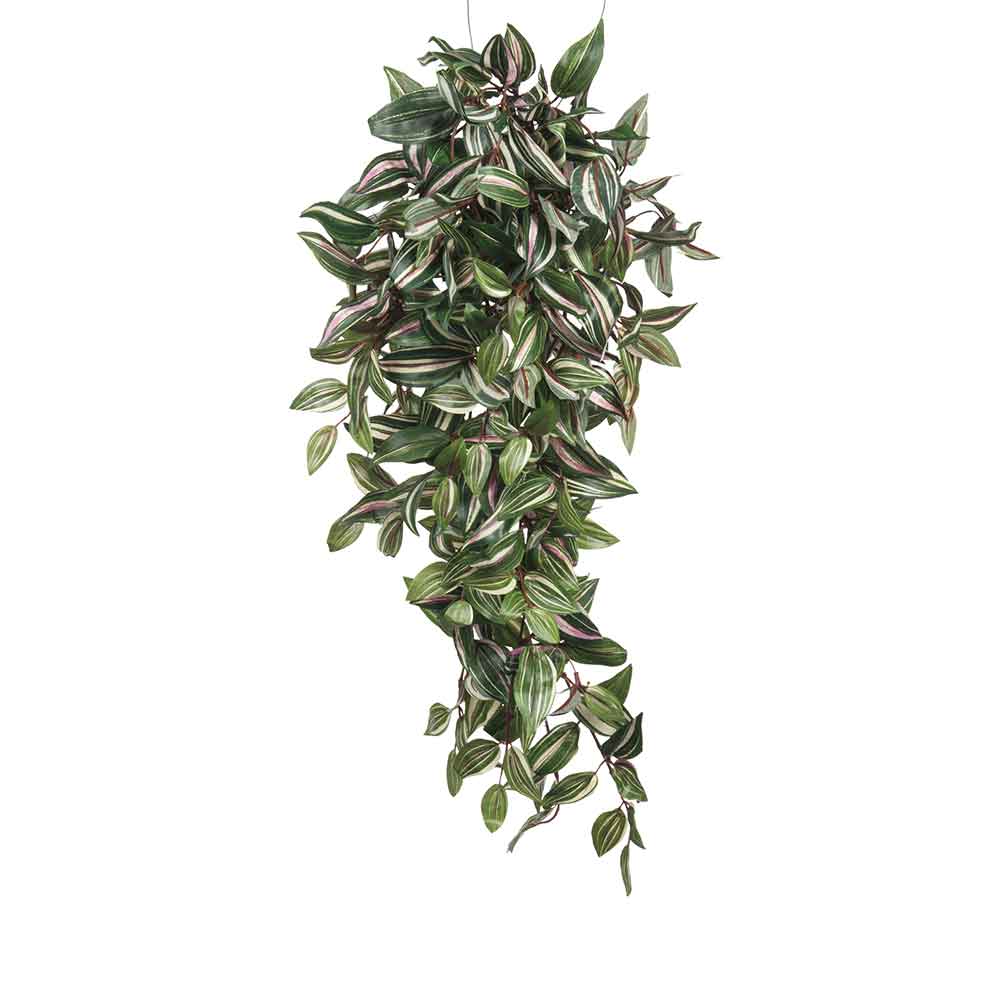 Mica Decorations tradescantia hangend groen maat in cm: 80 x 30 x 15
