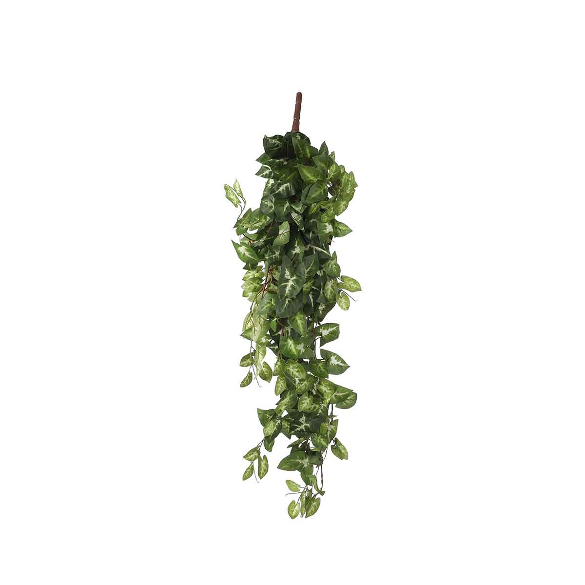 Mica Decorations fittonia hangend groen maat in cm: 80 x 30 x 15