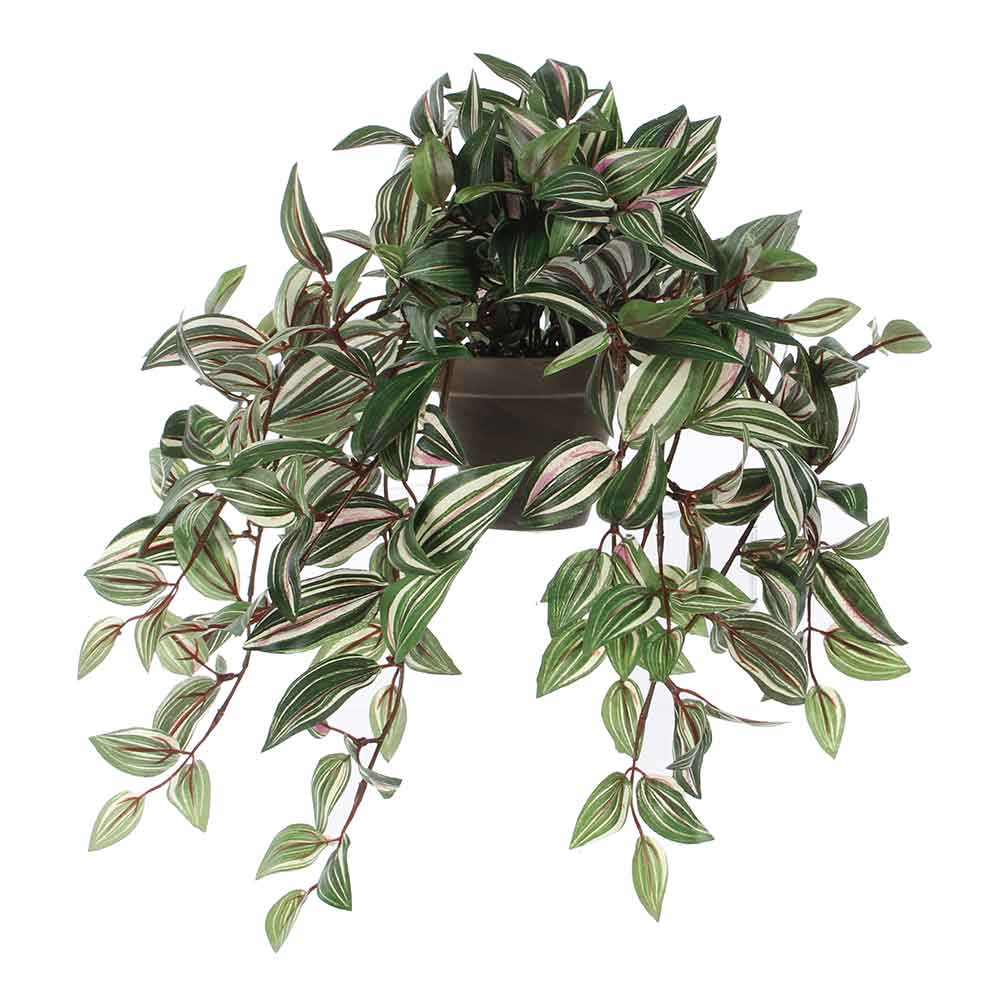 Mica Decorations tradescantia groen in pot Stan maat in cm: 45 x 25