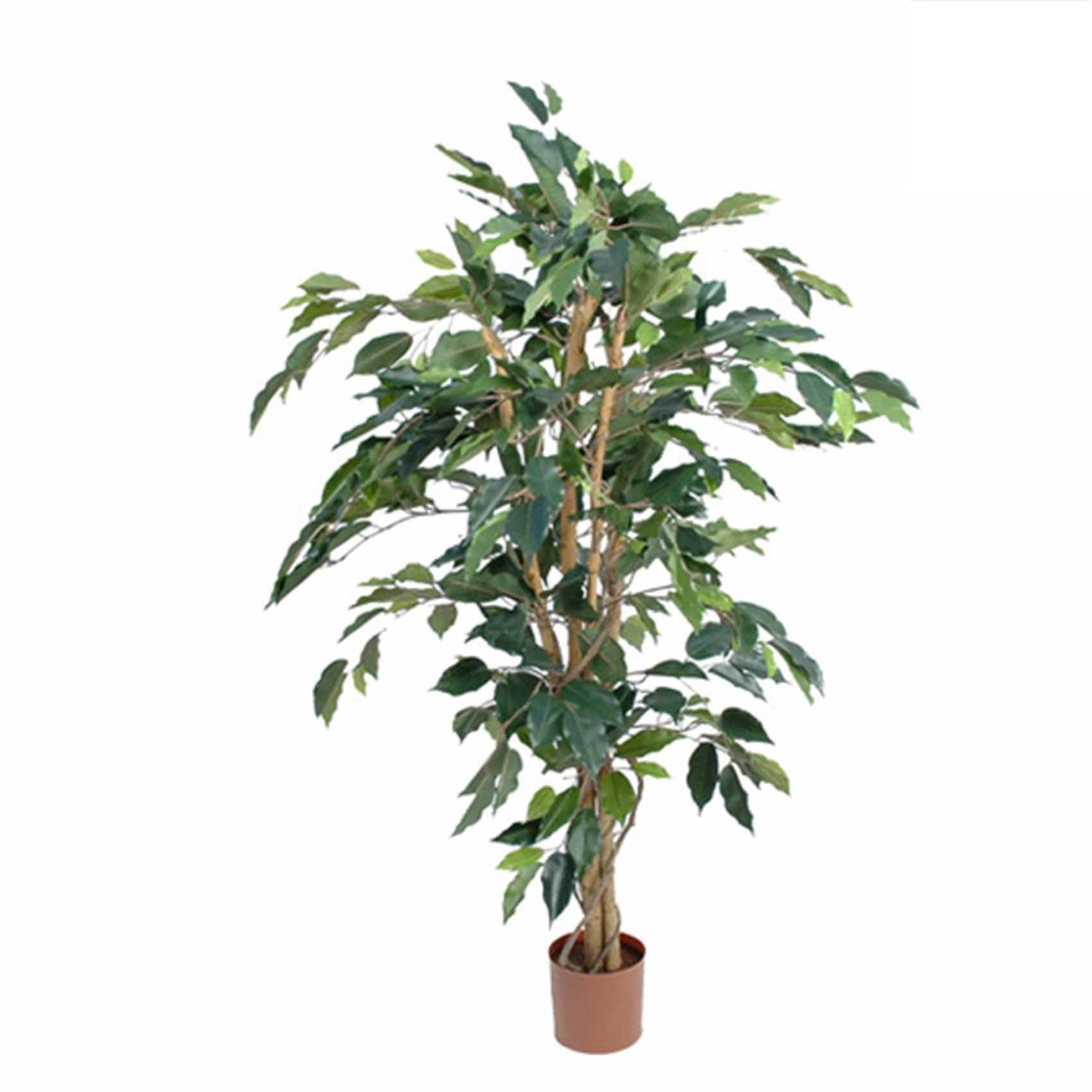 Mica Decorations ficus benjamina 105x60 cm groen in plastic pot