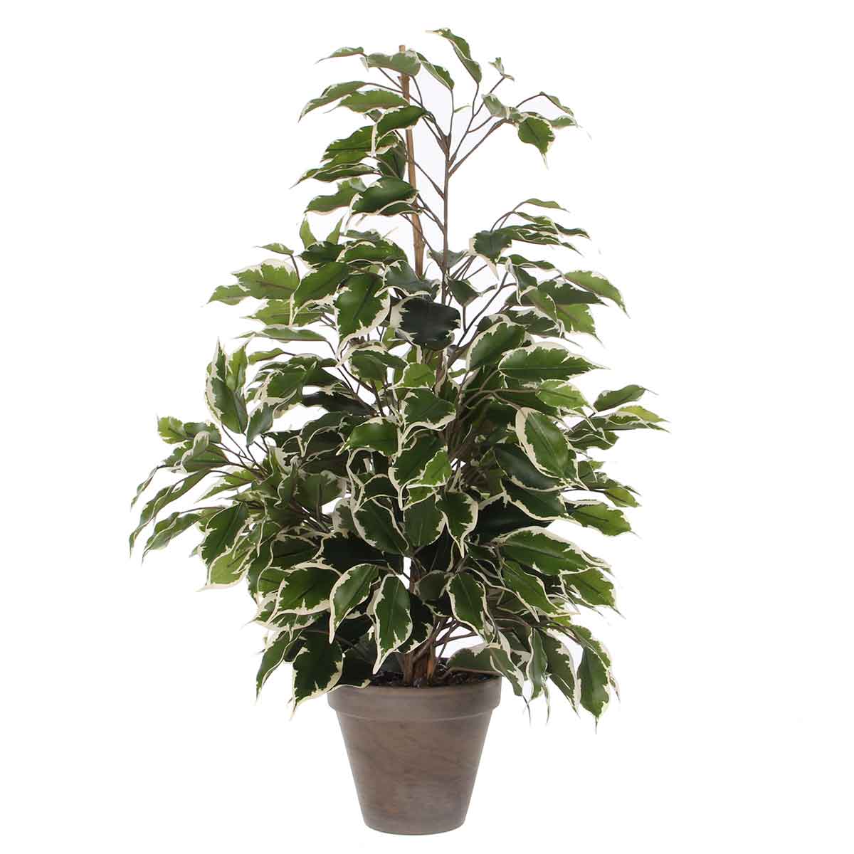 Mica Decorations Ficus Exotica Kunstplant - H65 x Ø40 cm - Pot - Groen