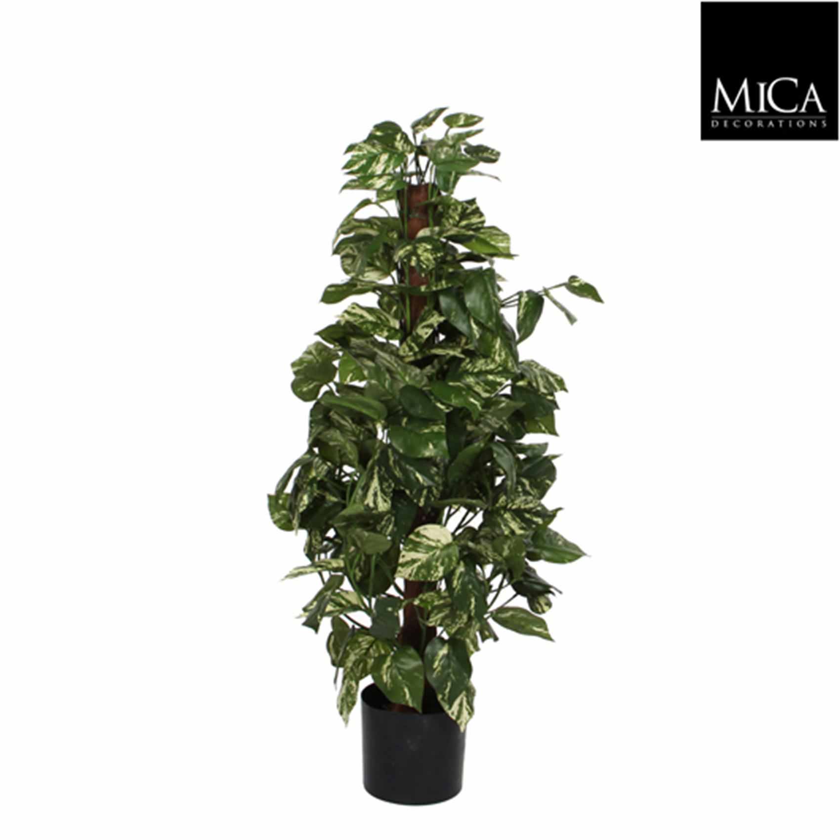 Mica Decorations scindapsus maat in cm: 100 x 45 in plastic pot