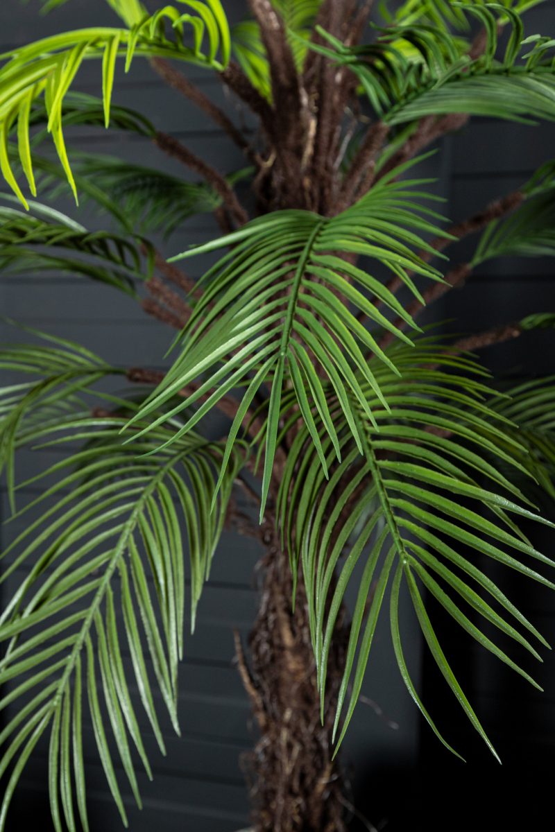 PTMD Kunstplant Palm Tree - 68x86x145 cm - Plastic - Zwart