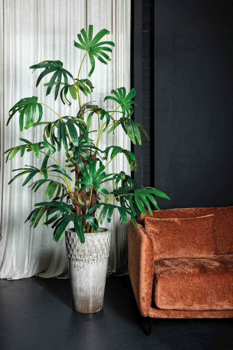 PTMD Kunstplant Palm Tree - 158x110x200 cm - Plastic - Zwart