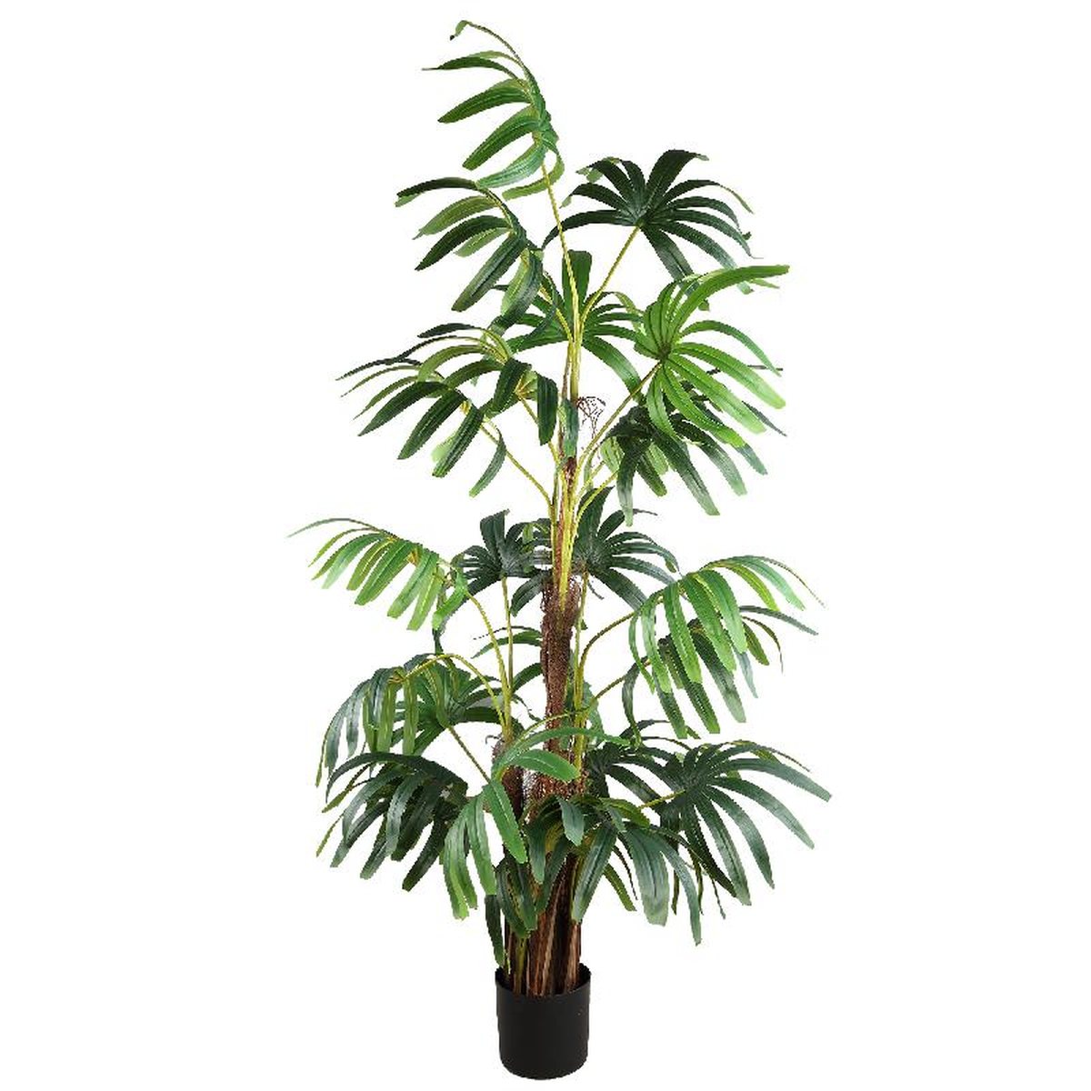 PTMD Kunstplant Palm Tree - 158x110x200 cm - Plastic - Zwart