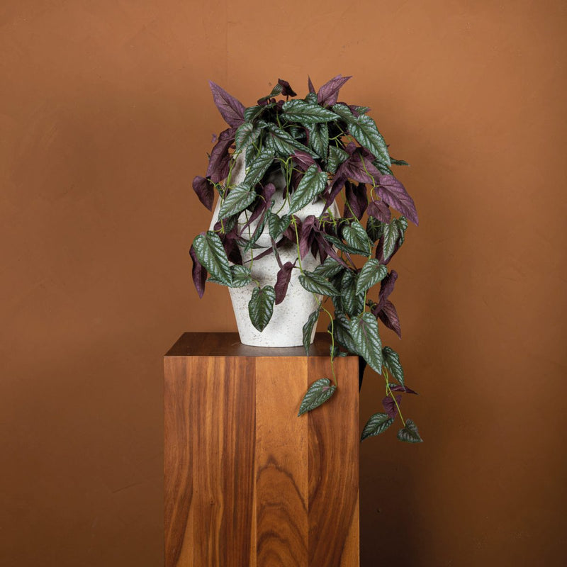 PTMD Kunstplant Bladeren - 76x30x76 cm - Kunststof - Goud