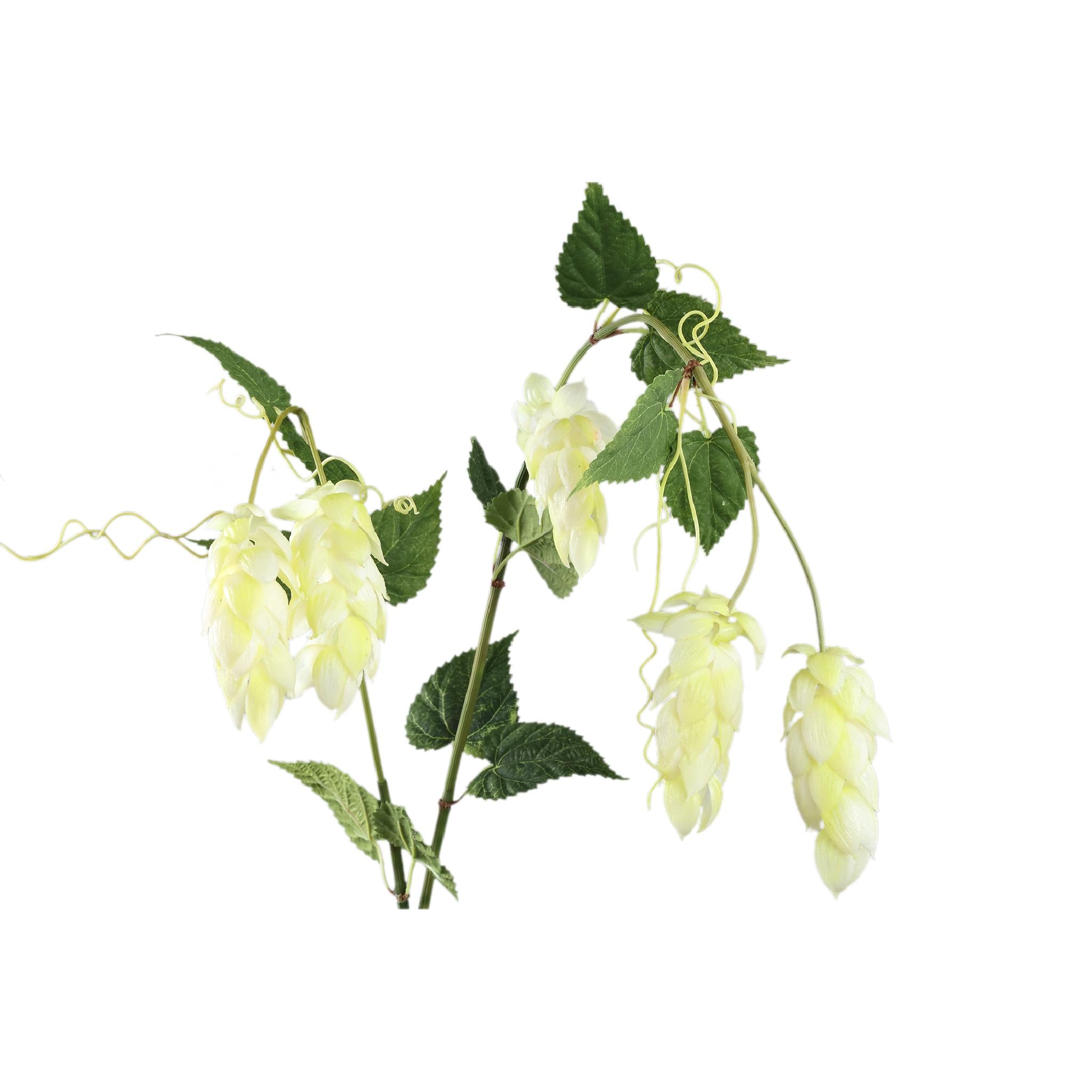 PTMD Kunsttak Hops Spray - 50x92x146 cm - Plastic - Creme