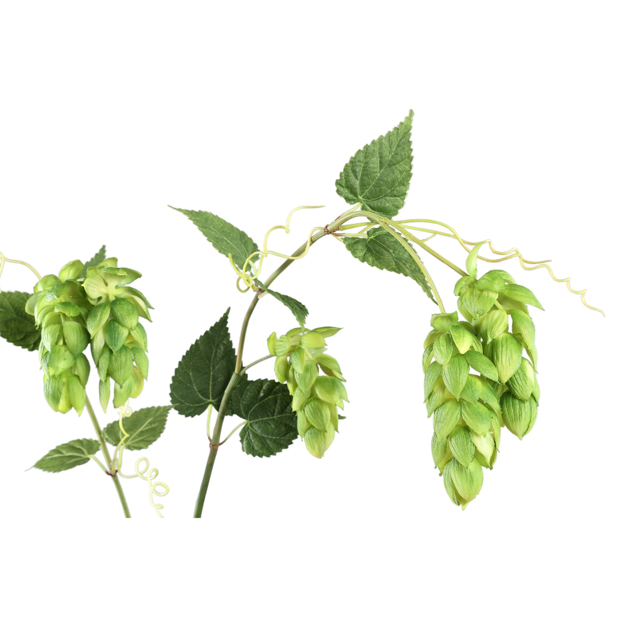 PTMD Kunsttak Hops Spray - 50x92x146 cm - Plastic - Groen