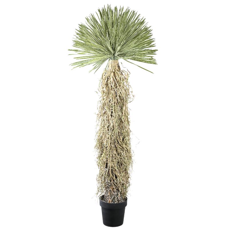 PTMD Kunstplant Yucca - 58x58x150 cm - Plastic - Groen