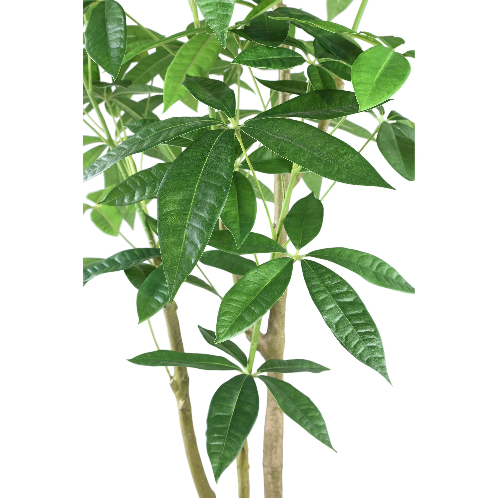PTMD Kunstplant Money Tree - 65x65x150 cm - Plastic - Zwart
