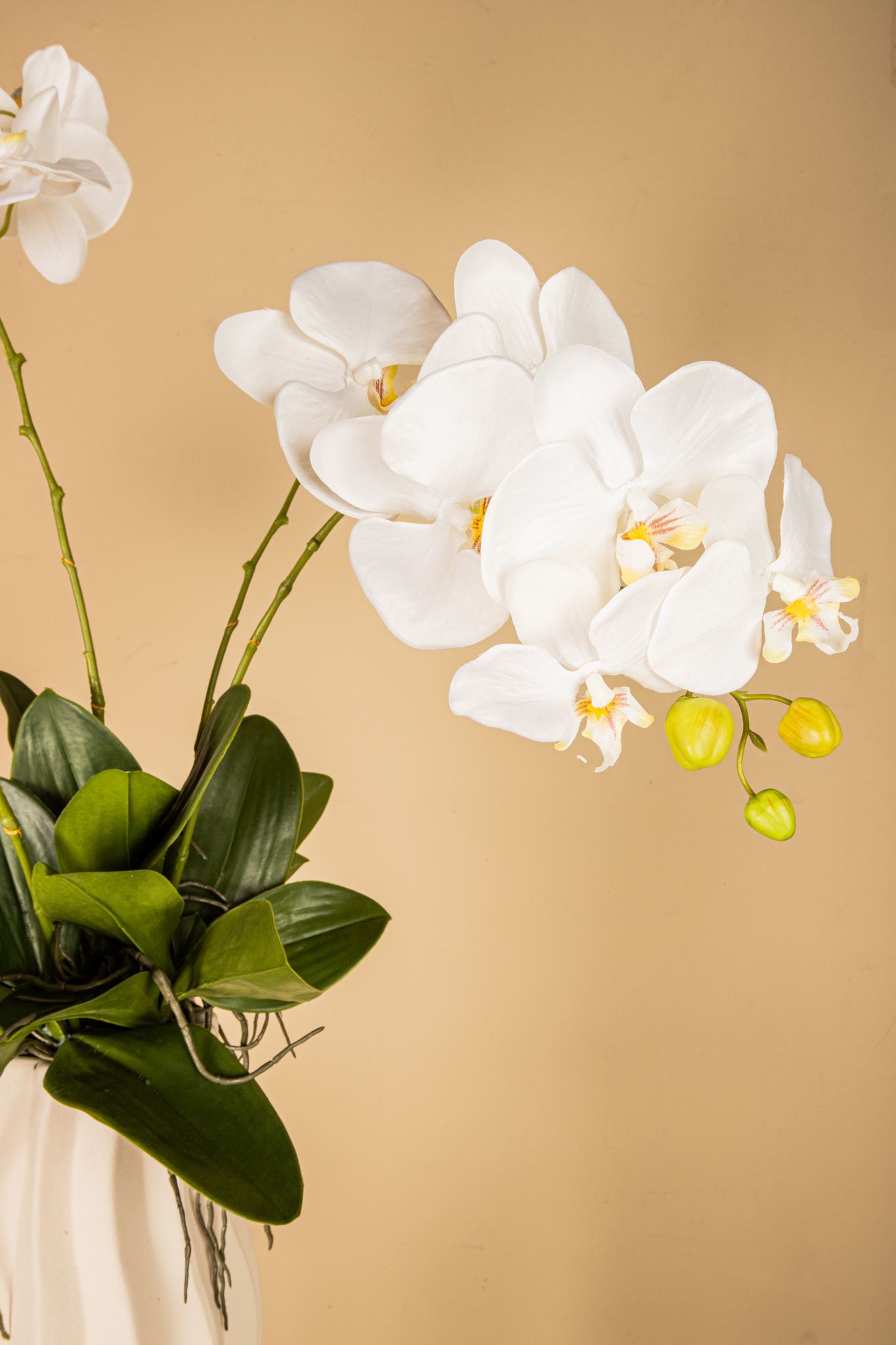 PTMD Kunstbloem Orchid - 60x30x74 cm - Polyester - Wit