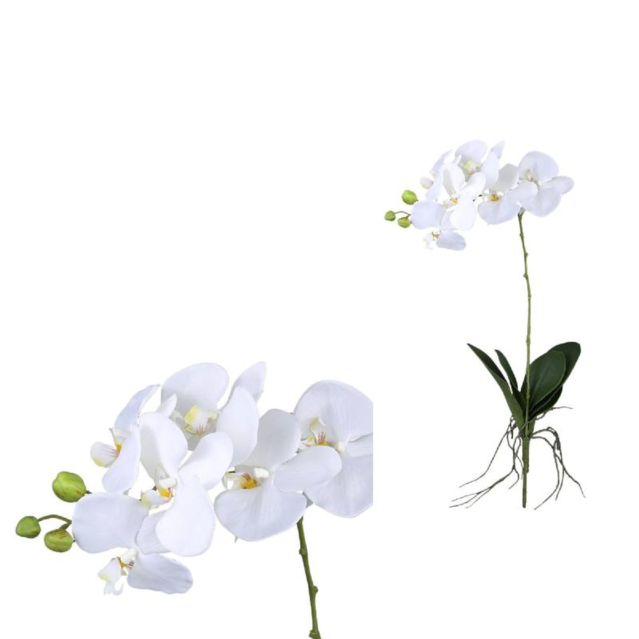PTMD Kunstbloem Orchid - 60x30x74 cm - Polyester - Wit