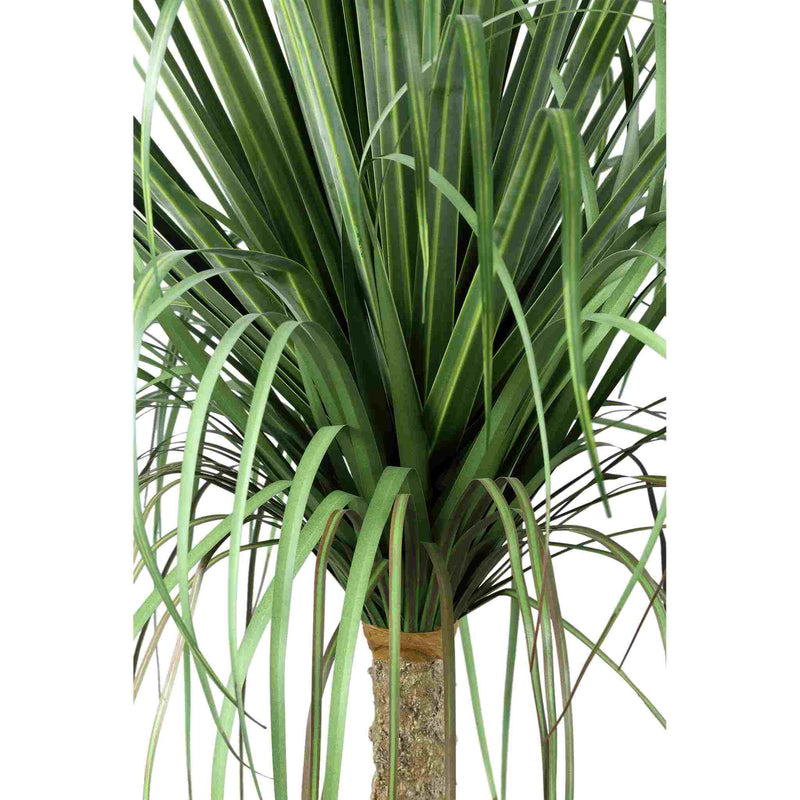 PTMD Kunstboom Coconut - 60x75x98 cm - Polyester - Groen