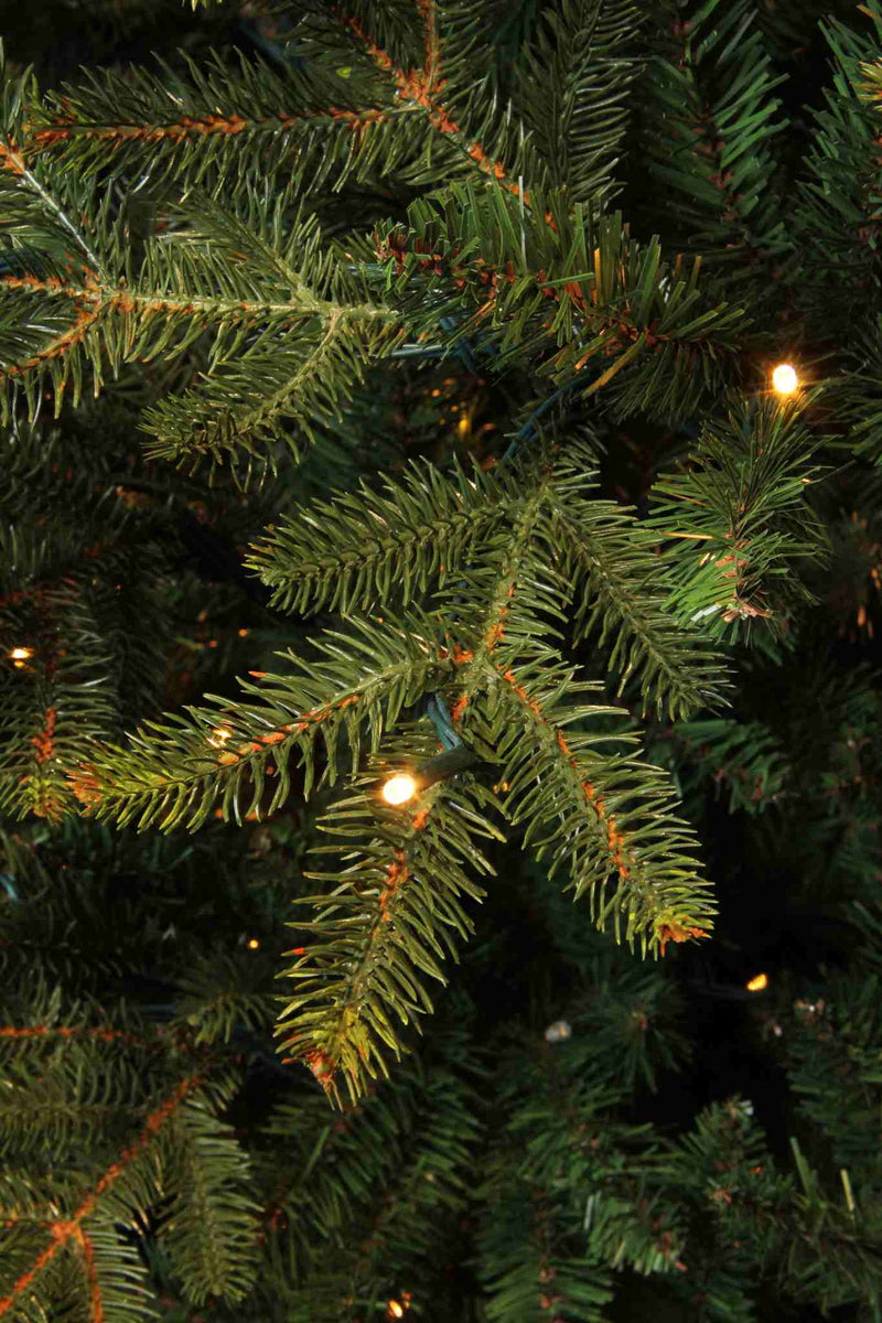 Black box kunstkerstboom led frasier fir - 185x124 groen 288 led