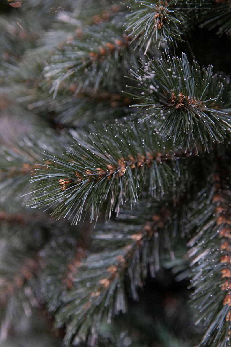 Triumph Tree Kunstkerstboom Forest frosted - 140x140x215 cm - PVC - Nieuwgroei Blauw