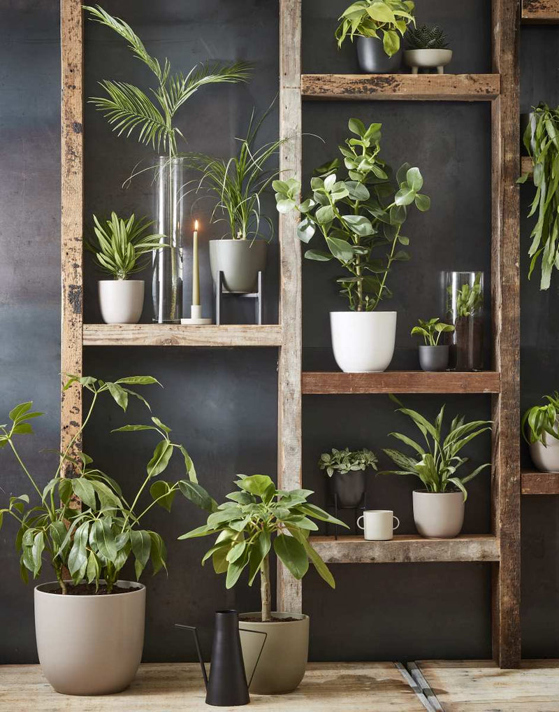 Mica Decorations Tusca Bloempot - 25x25x23 cm - Keramiek - Wit