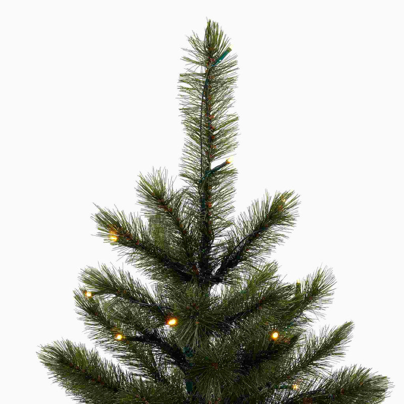 Triumph Tree Kunstkerstboom Bristlecone Fir - 127x127x215cm - LED lampjes - Groen