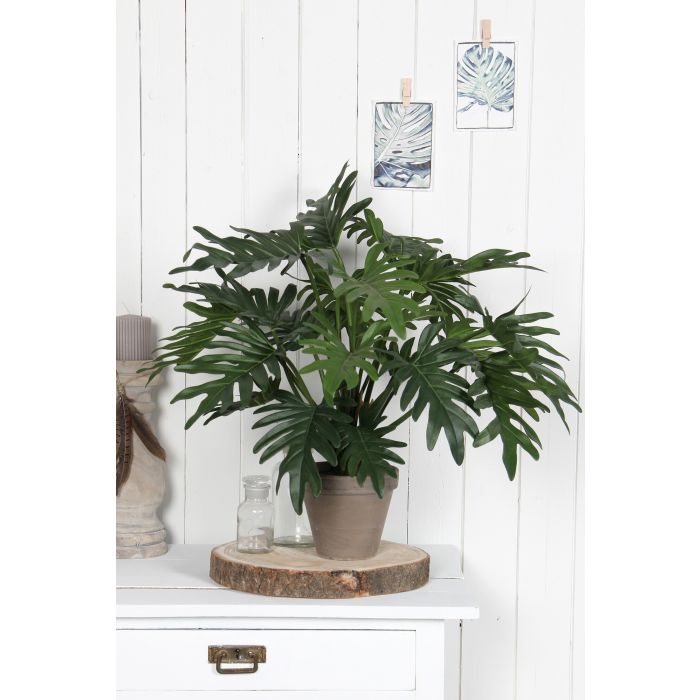 Mica Decorations Philodendron Selloum Kunstplant - H50xØ40 cm - Groen