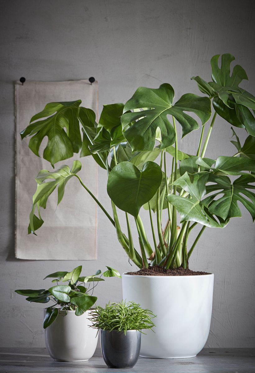 Mica Decorations Tusca Bloempot - 25x25x23 cm - Keramiek - Antraciet