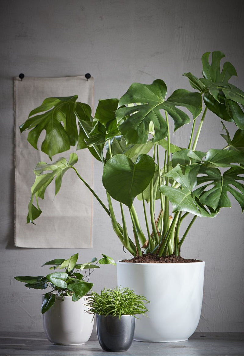 Mica Decorations Tusca Bloempot - 28x28x25 cm - Keramiek - Antraciet