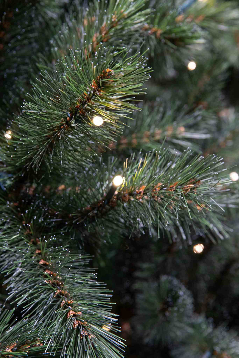 Triumph Tree Kerstkrans Forest frosted - 150x150x20 cm - PVC - Besneeuwd,Groen
