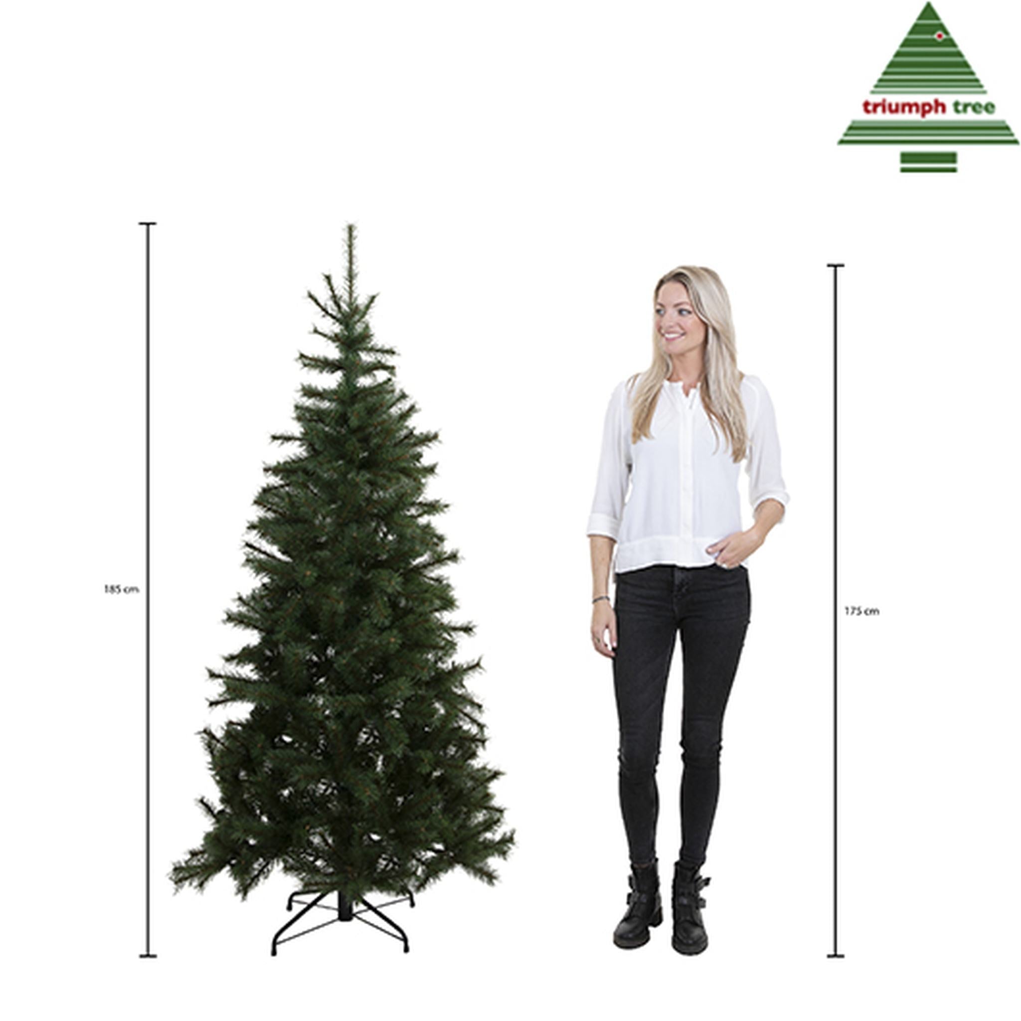 Triumph Tree Kunstkerstboom Forrester - 109x109x185 cm - PVC - Groen
