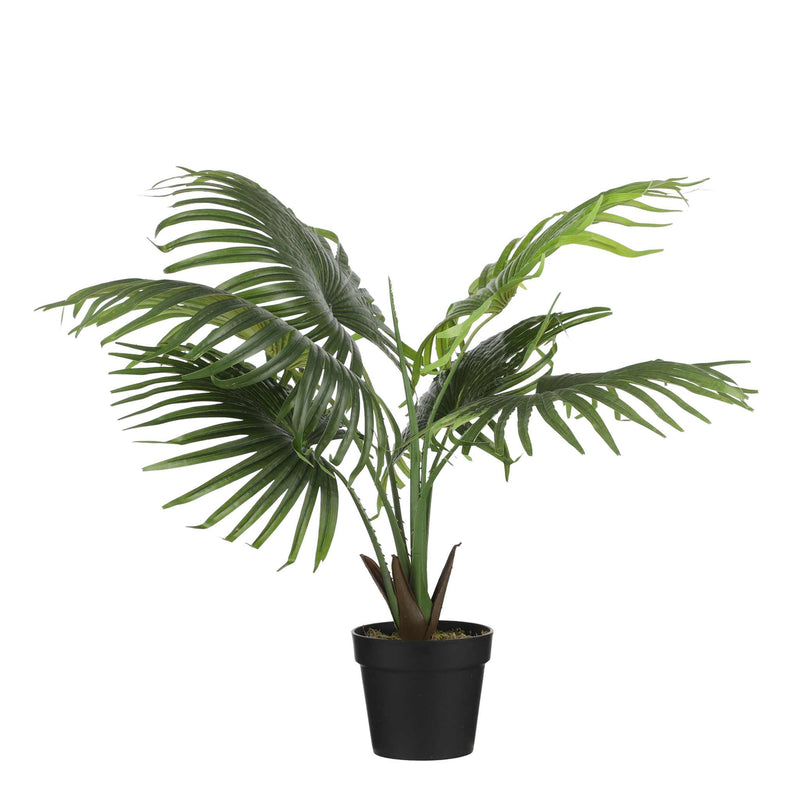 Mica Decorations Fan Kunstpalm - H80 x Ø80 cm - Plastic Pot - Groen