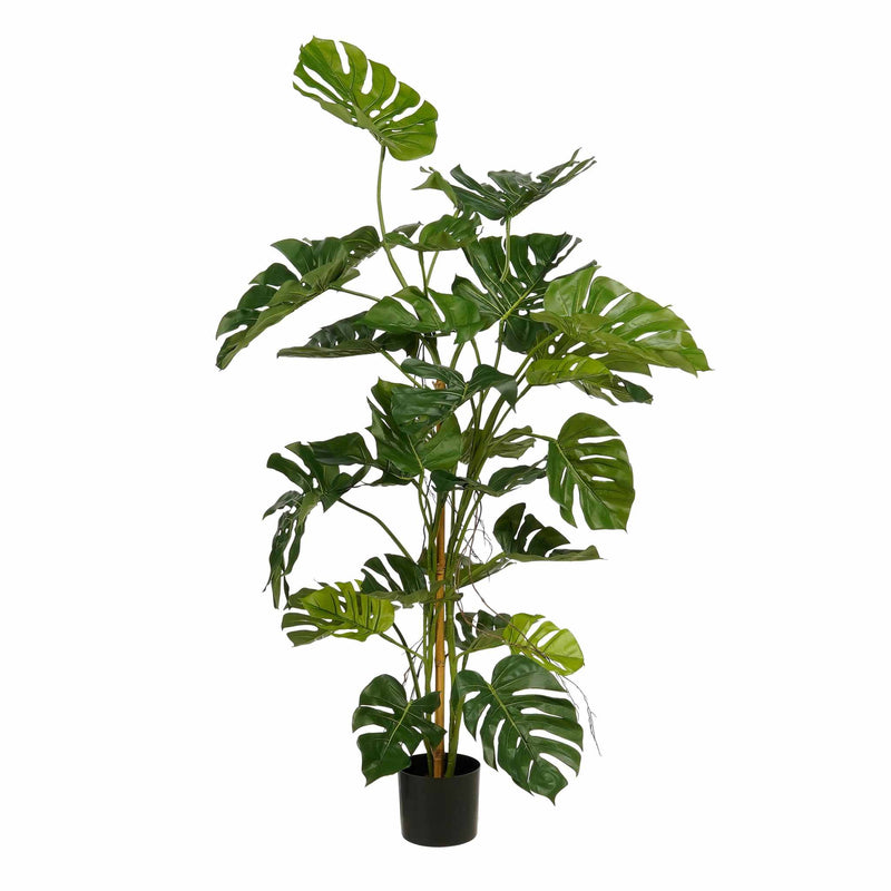 Mica Decorations Kunstplant Monstera - 120x120x140 cm - Polyester - Groen