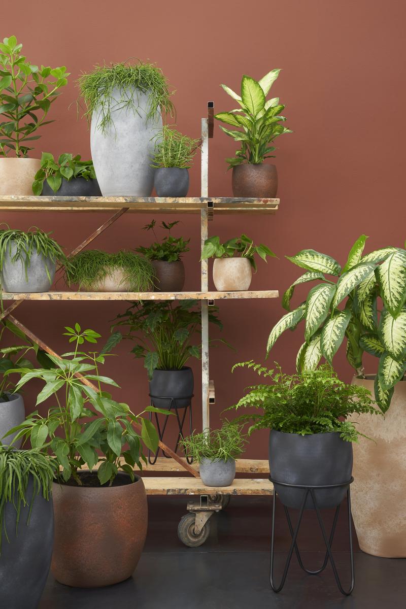 Mica Decorations Lester Bloempot - 20x20x18 cm - Terracotta - Roest