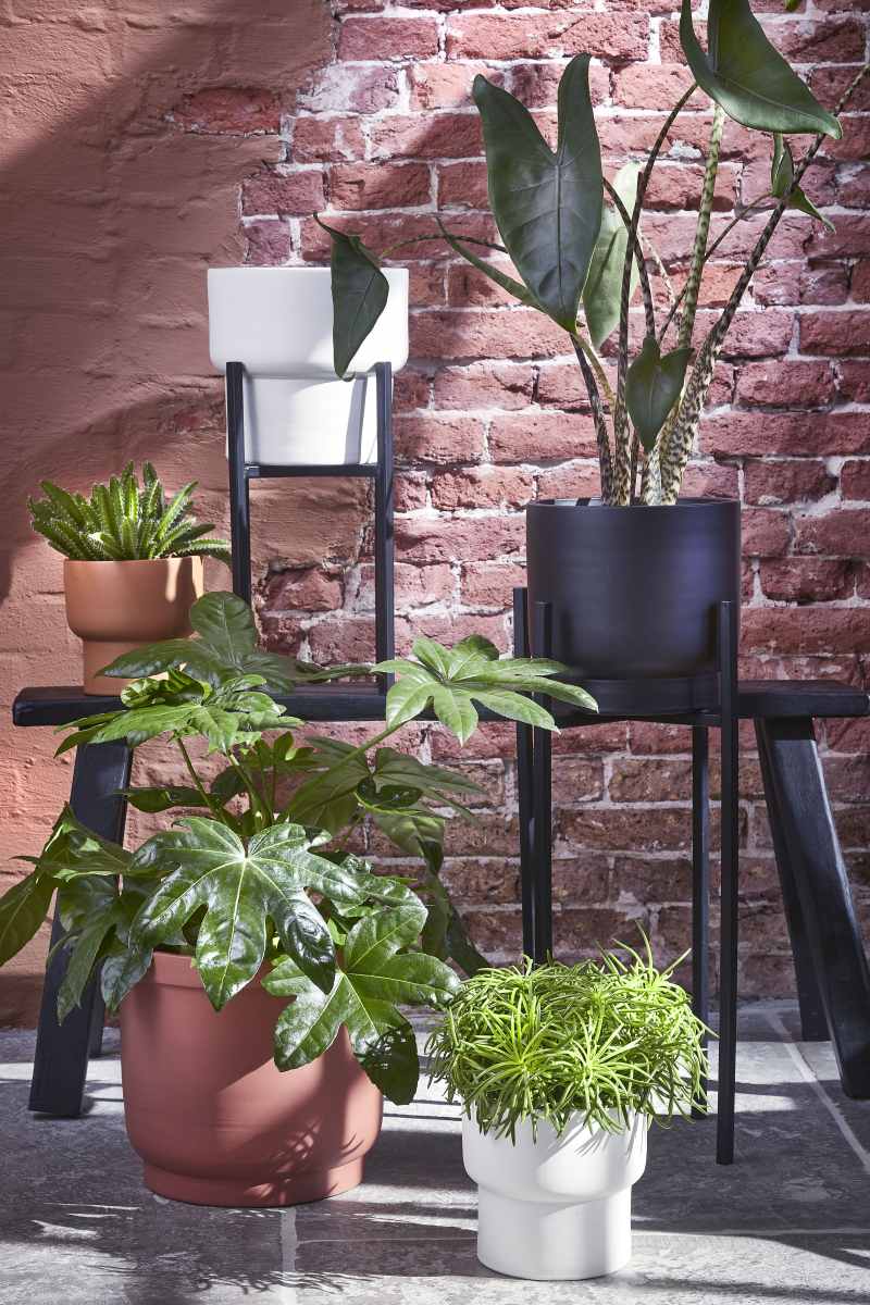 Mica Decorations Riva Bloempot - 26x26x23 cm - Terracotta - Zwart