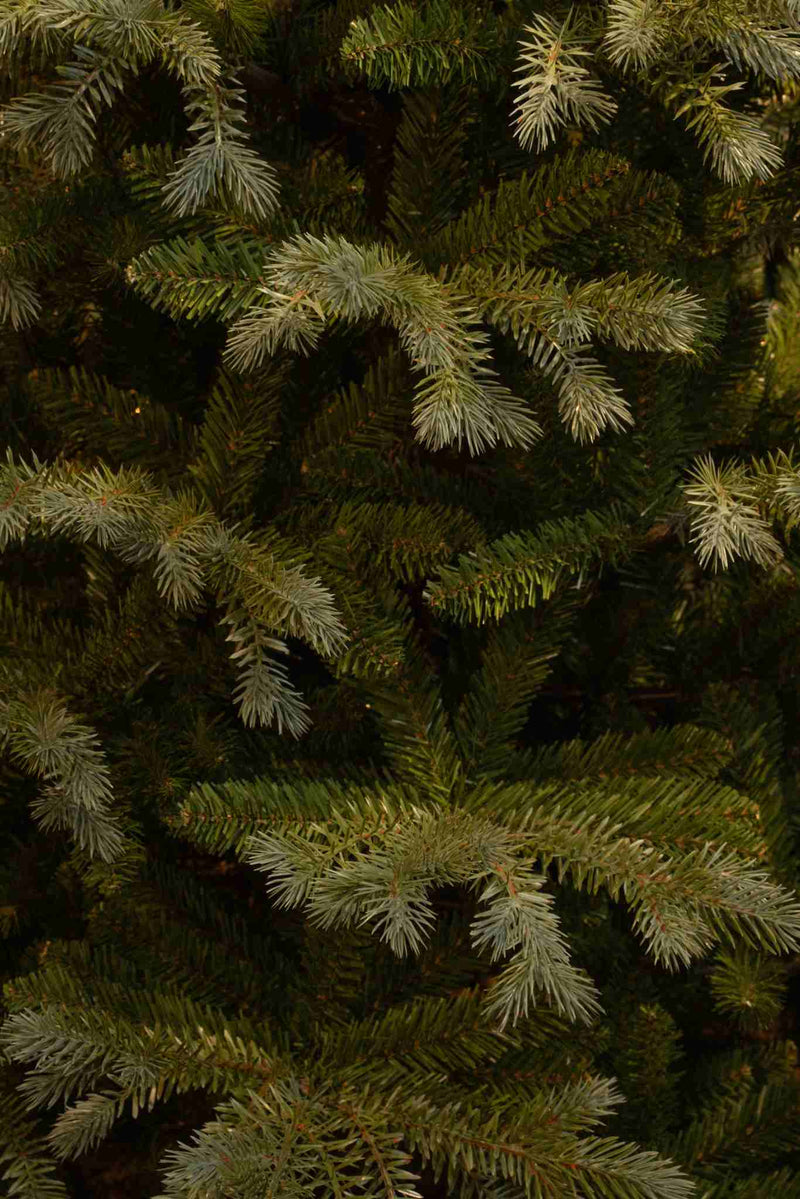 Black Box Kunstkerstboom Ardley - 112x112x155 cm - PVC - Groen
