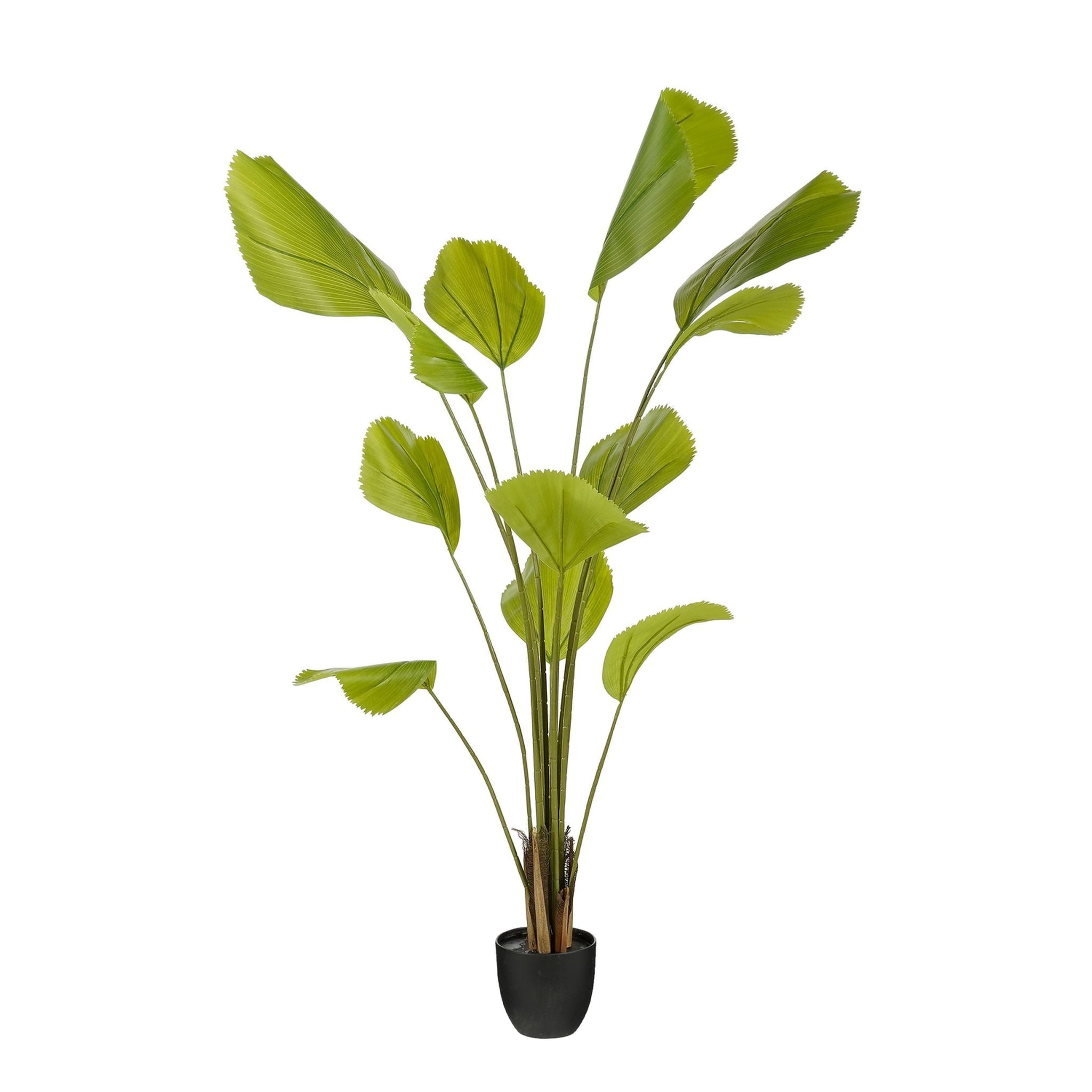Mica Decorations Kunstplant Palm - 70x70x150 cm - Polyester - Groen