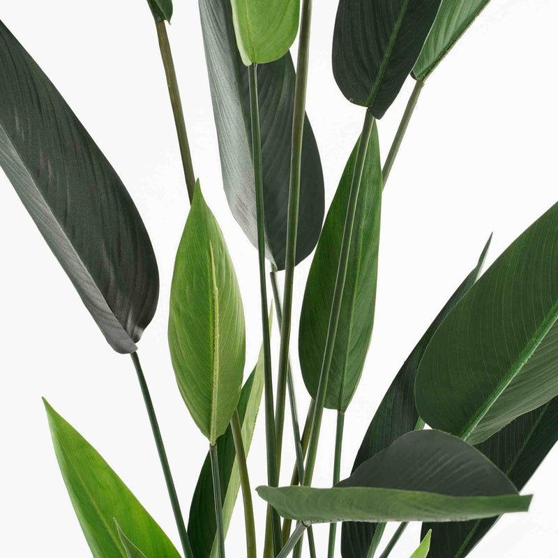 Mica Decorations Kunstboom Heliconia - 90x90x150 cm - Polyester - Groen