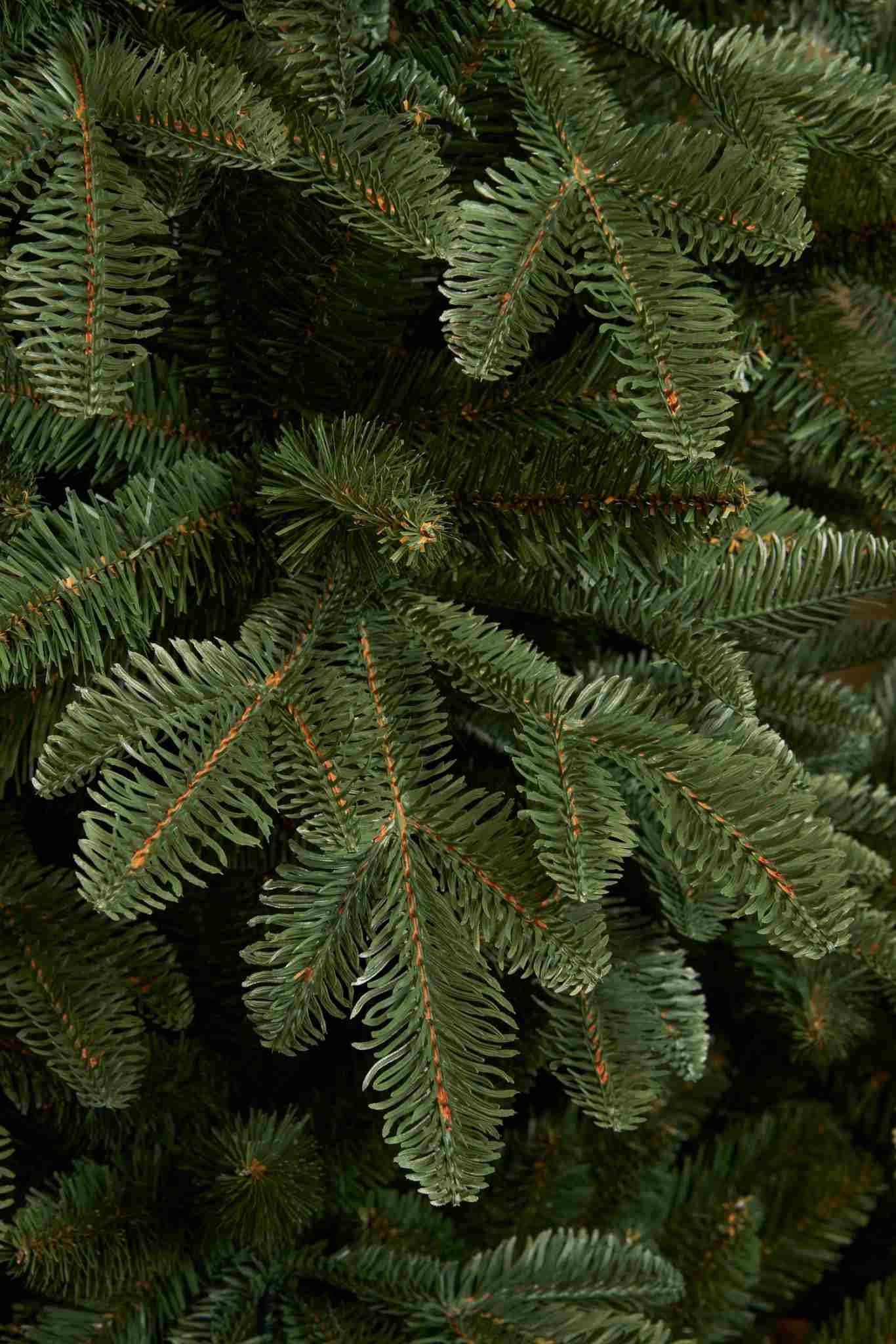 Triumph Tree Kunstkerstboom Aurora - 135x135x215 cm - PVC - Groen