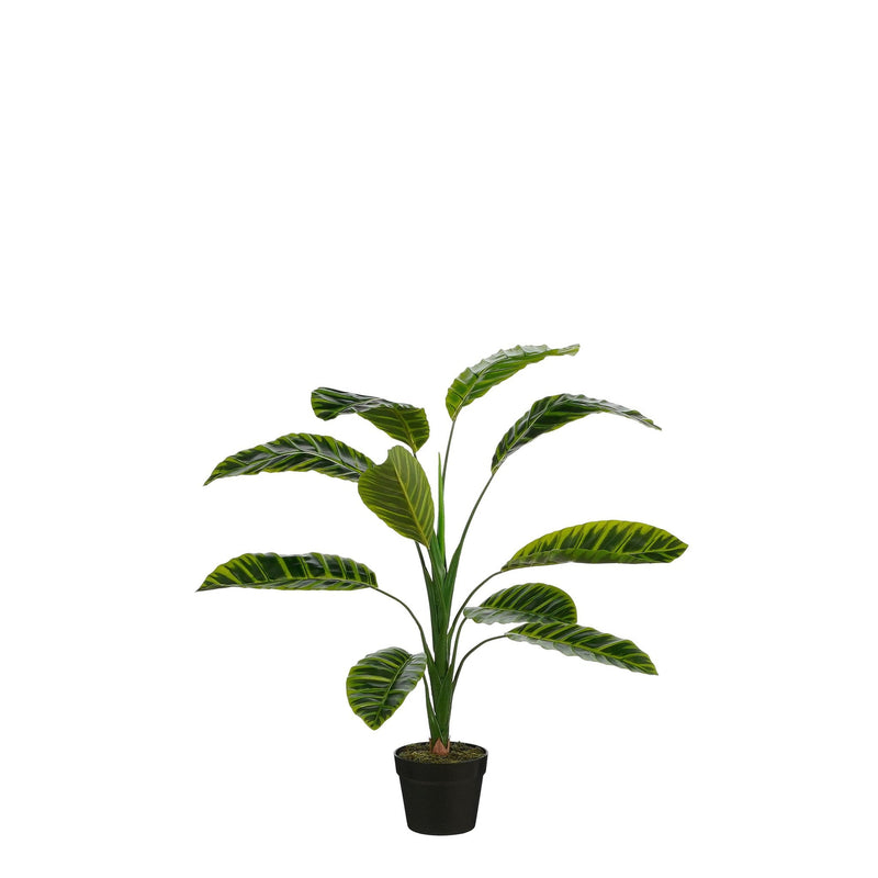 Mica Decorations Kunstplant Calathea - 60x60x90 cm - Polyester - Groen