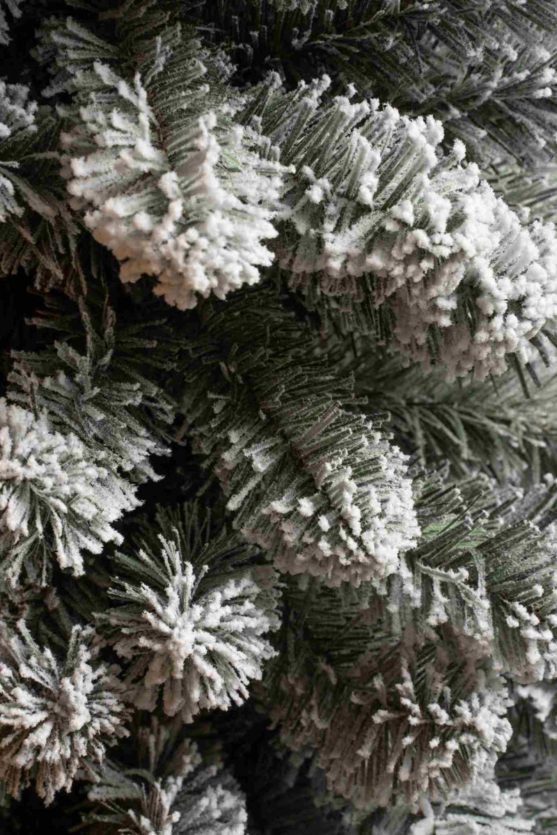 Black Box Kunstkerstboom Charlton - 48x48x155cm - PVC - Besneeuwd,Groen