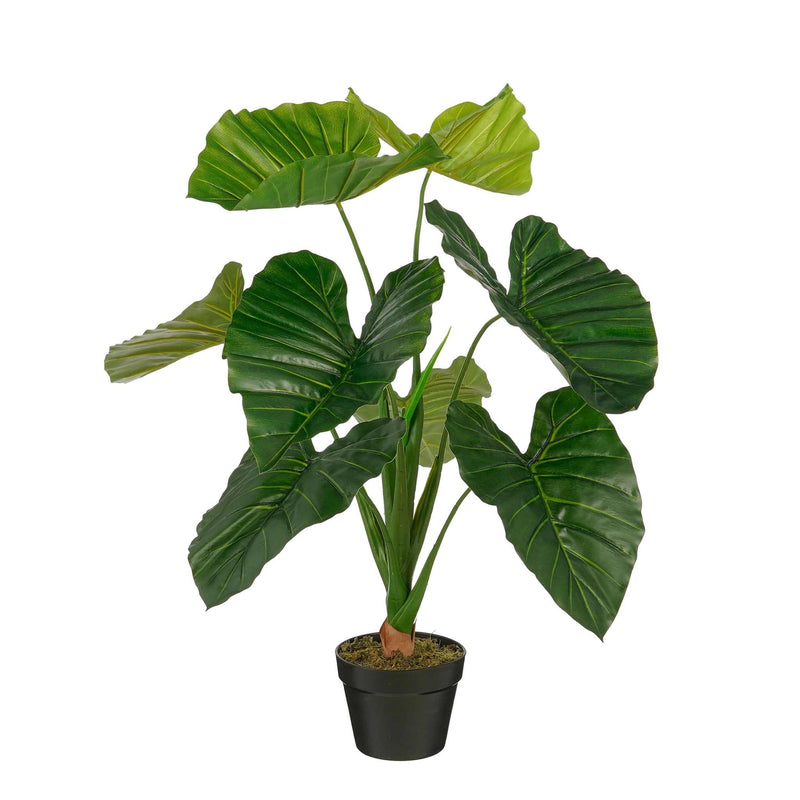 Mica Decorations Kunstplant Taro - 60x60x90 cm - Polyethyleen - Groen